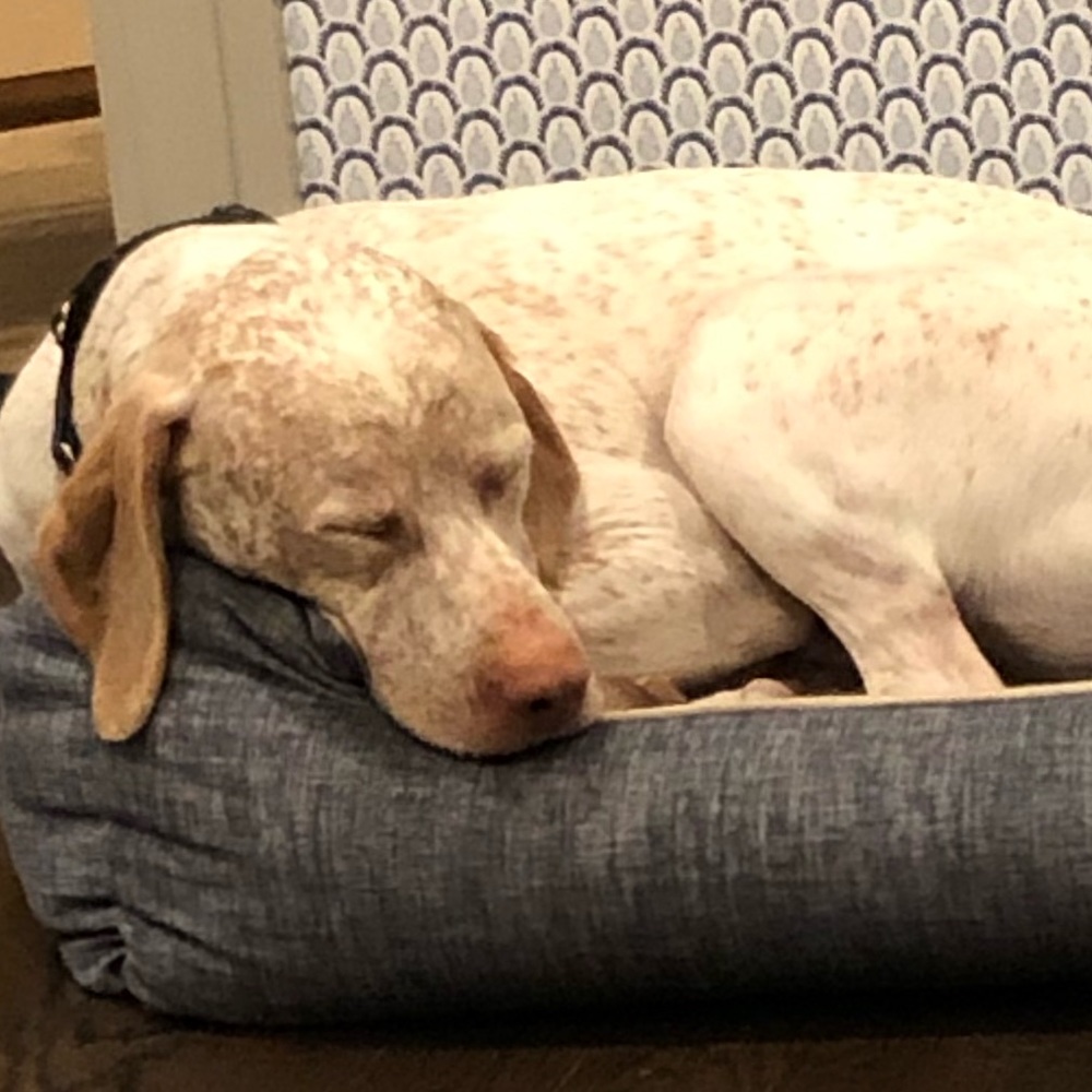 Meet your Posher, Eloise